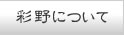 彩野について