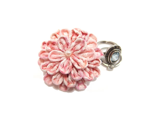 ひとつ菊