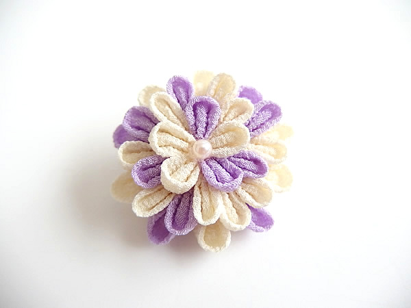 ひとつ菊