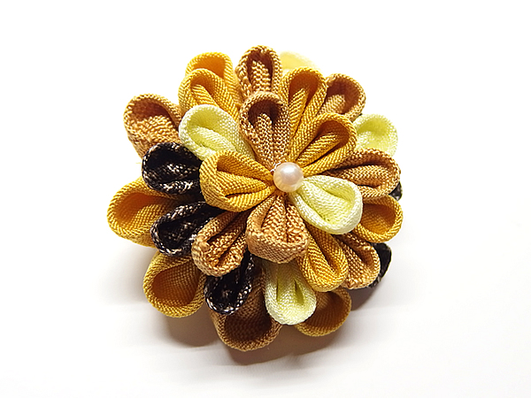 ひとつ菊