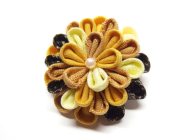 ひとつ菊