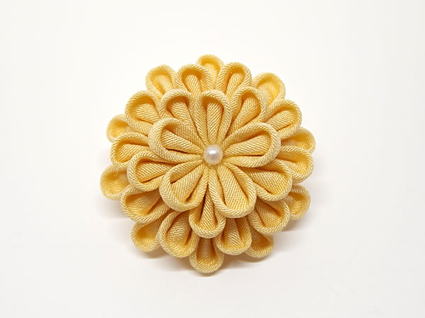 ひとつ菊
