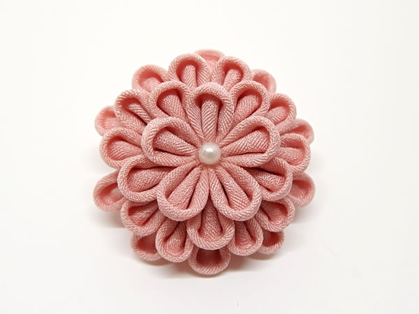 ひとつ菊