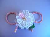 九重菊（白×ピンク）