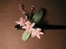 一本挿し「花かんざし（シルク、蘭、紫陽花）」
