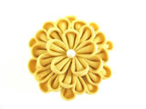ひとつ菊