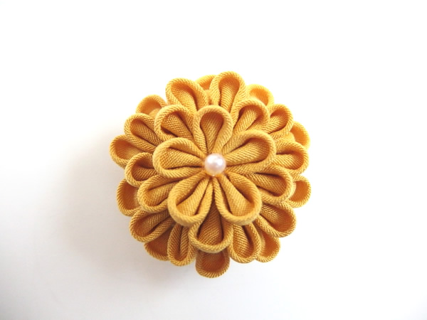 ひとつ菊