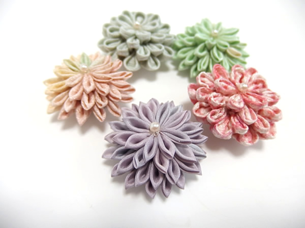 あわせ菊