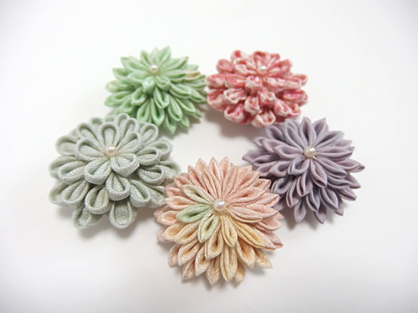 あわせ菊