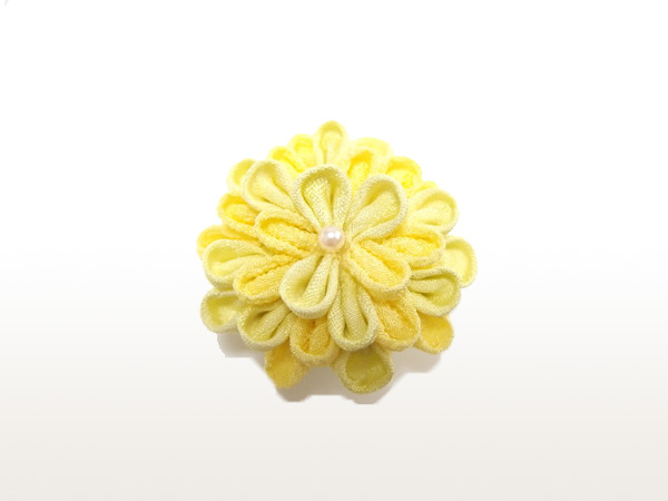 ひとつ菊