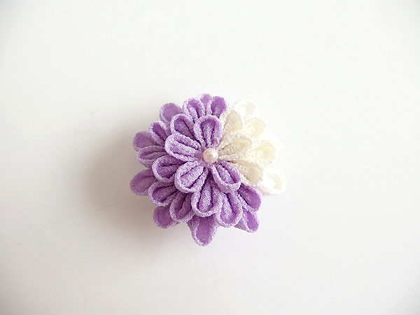 ひとつ菊