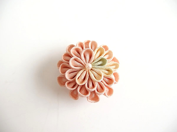 ひとつ菊
