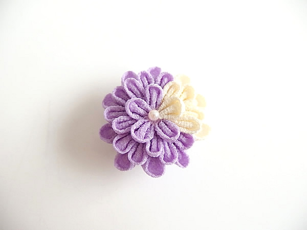 ひとつ菊