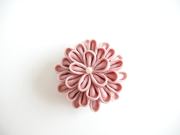 ひとつ菊