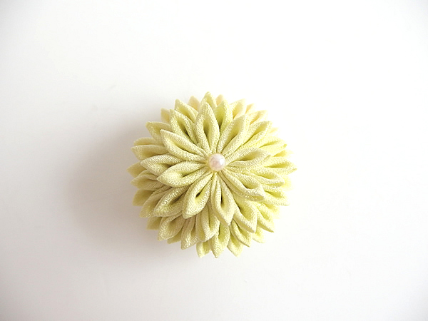 あわせ菊