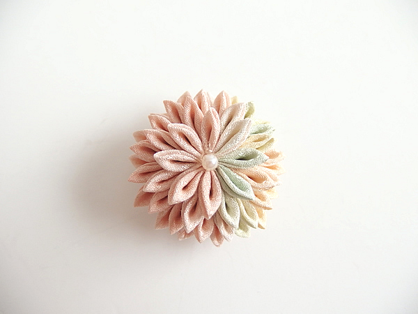 あわせ菊