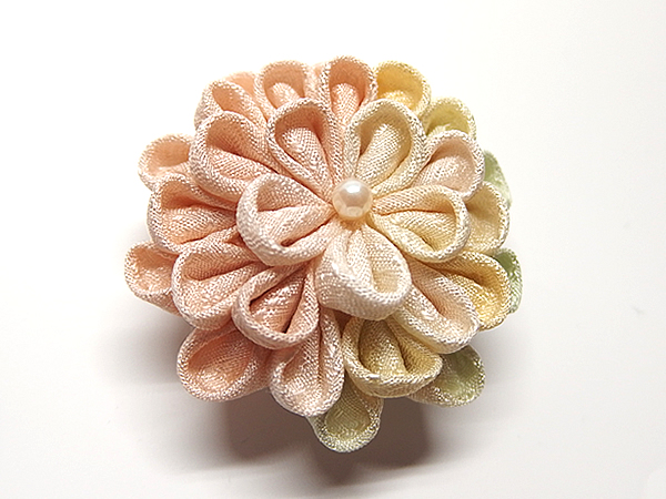 ひとつ菊