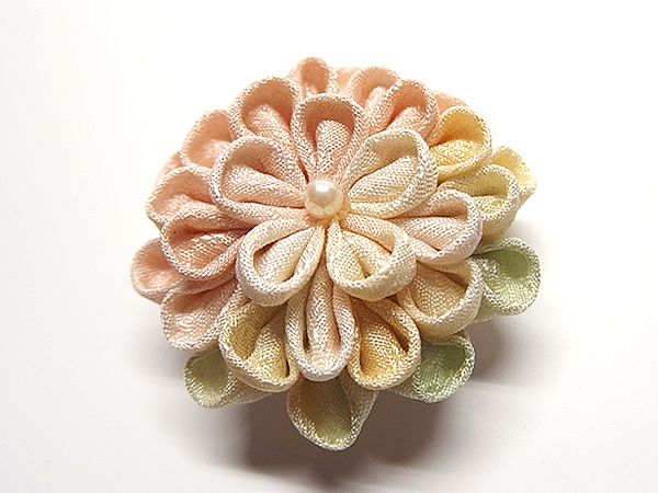 ひとつ菊
