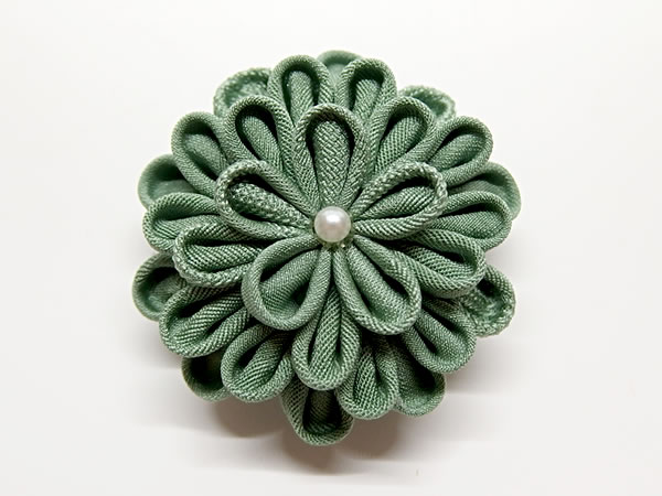 ひとつ菊