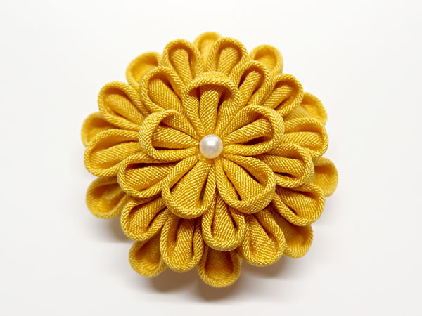 ひとつ菊