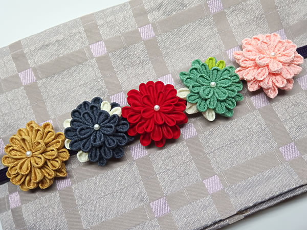 ひとつ菊