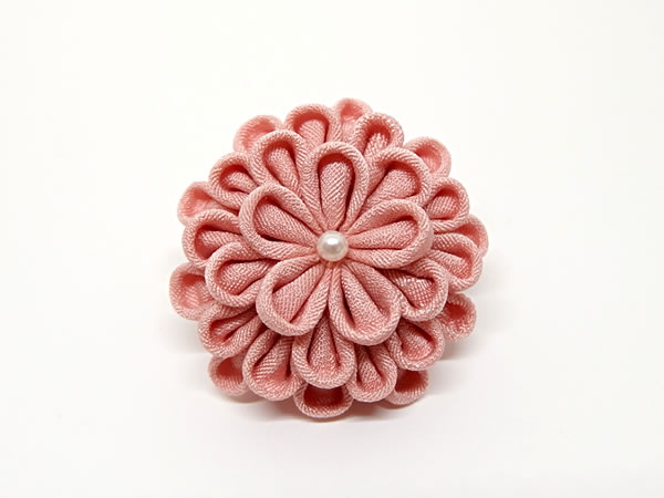 ひとつ菊