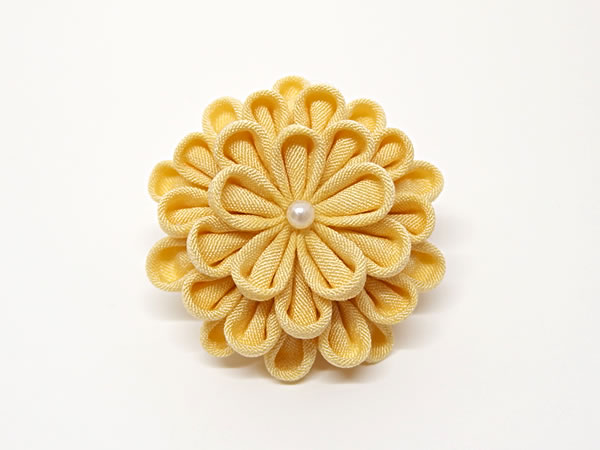 ひとつ菊