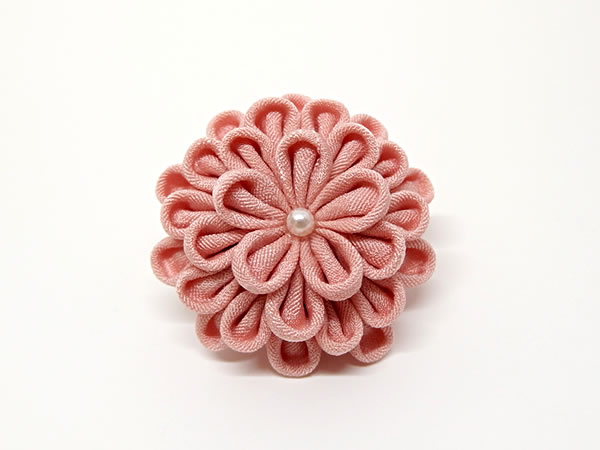 ひとつ菊