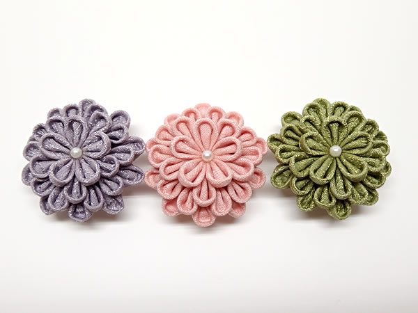 ひとつ菊