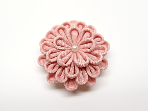 ひとつ菊