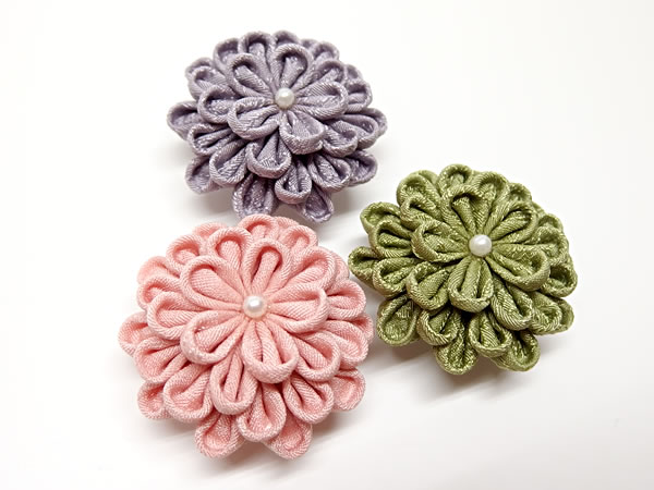 ひとつ菊