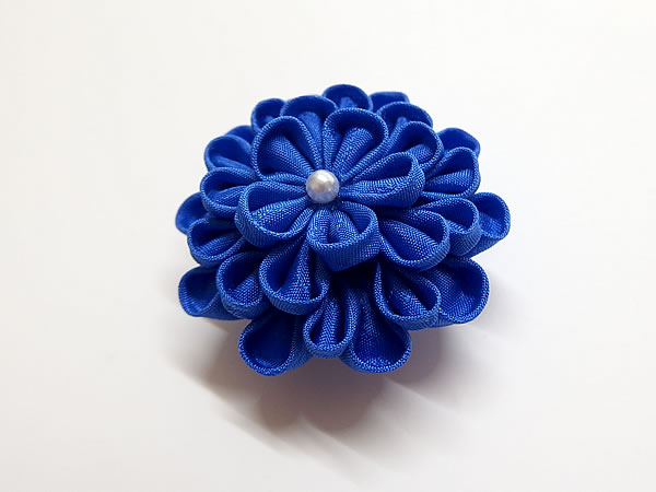 ひとつ菊