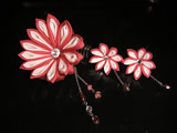 十二剣菊セット（薄紅に白）