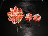 八つ菊セット（九色）