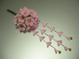 桜寿
