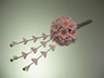 枝垂れかんざし「桜寿」