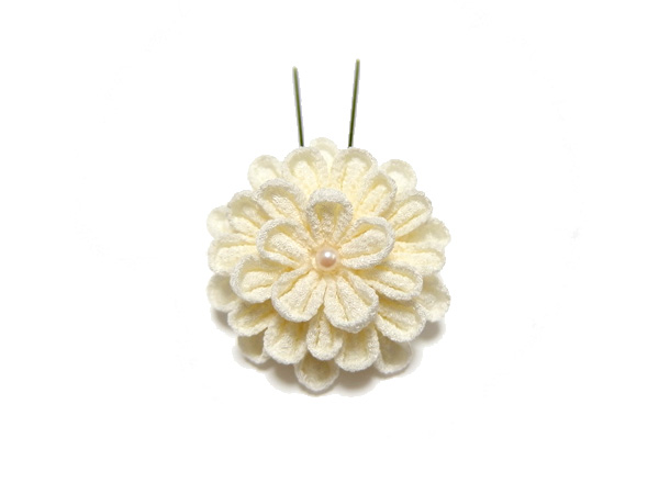 ひとつ菊