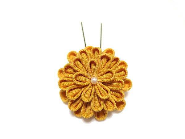 ひとつ菊
