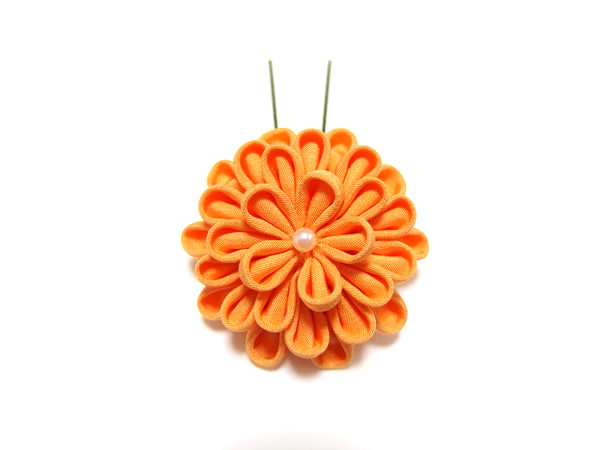 ひとつ菊