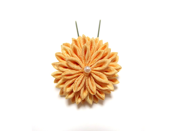 あわせ菊