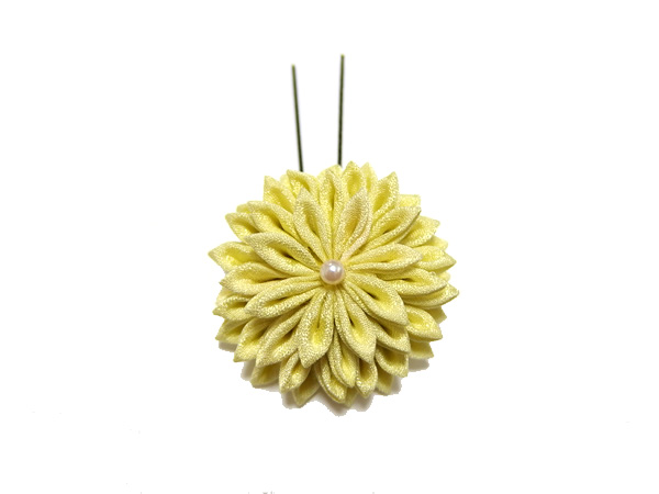 あわせ菊