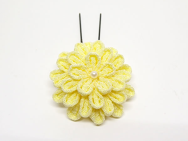 ひとつ菊