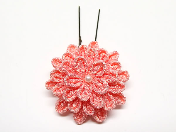 ひとつ菊
